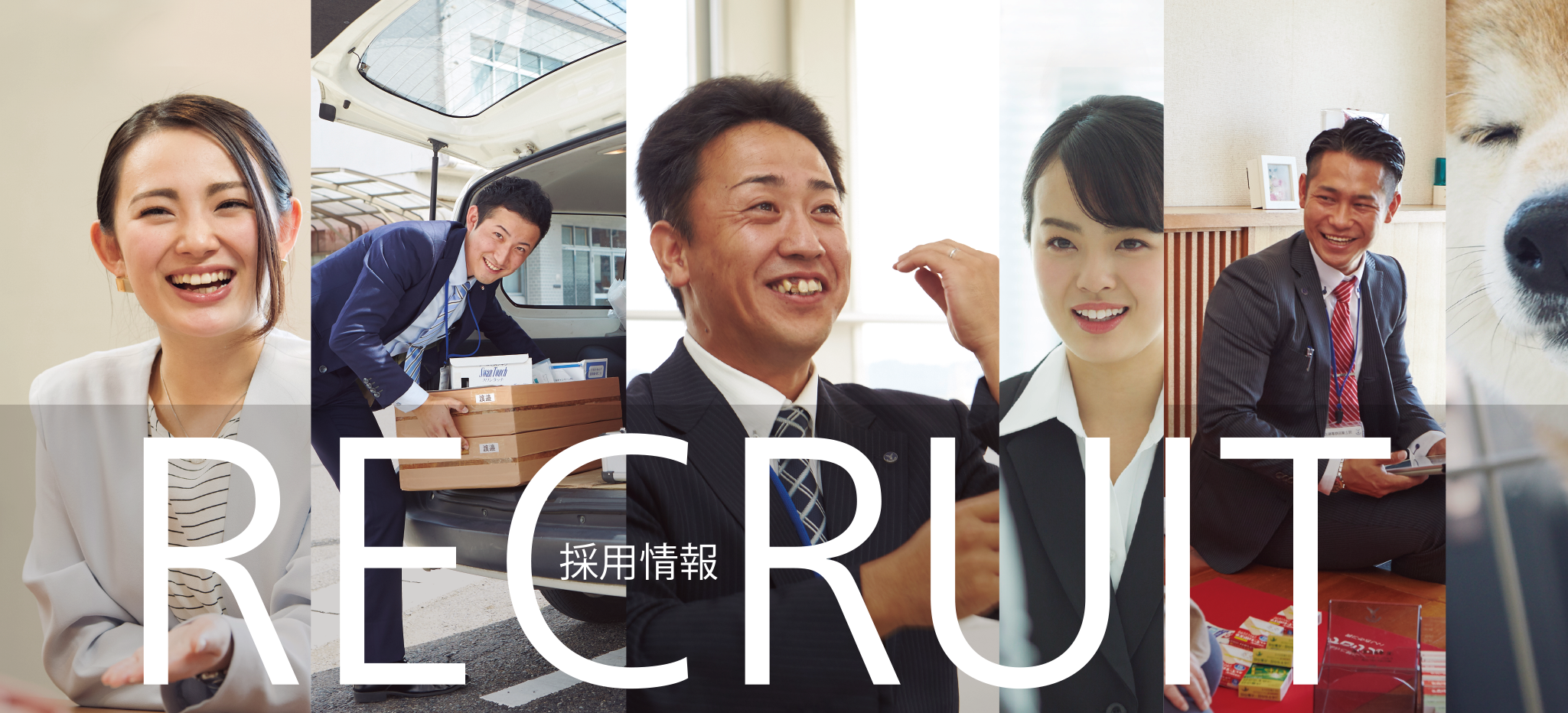 採用情報